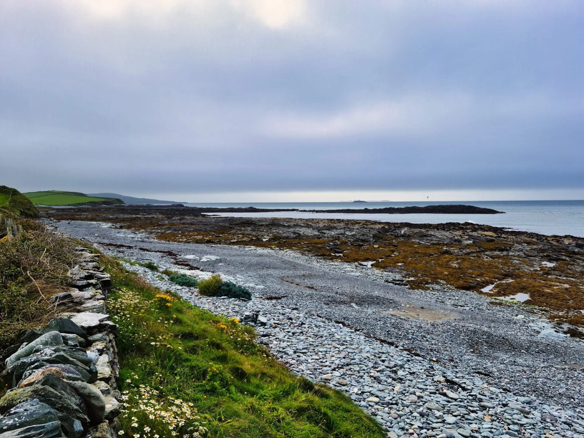 cemlyn nature reserve 007