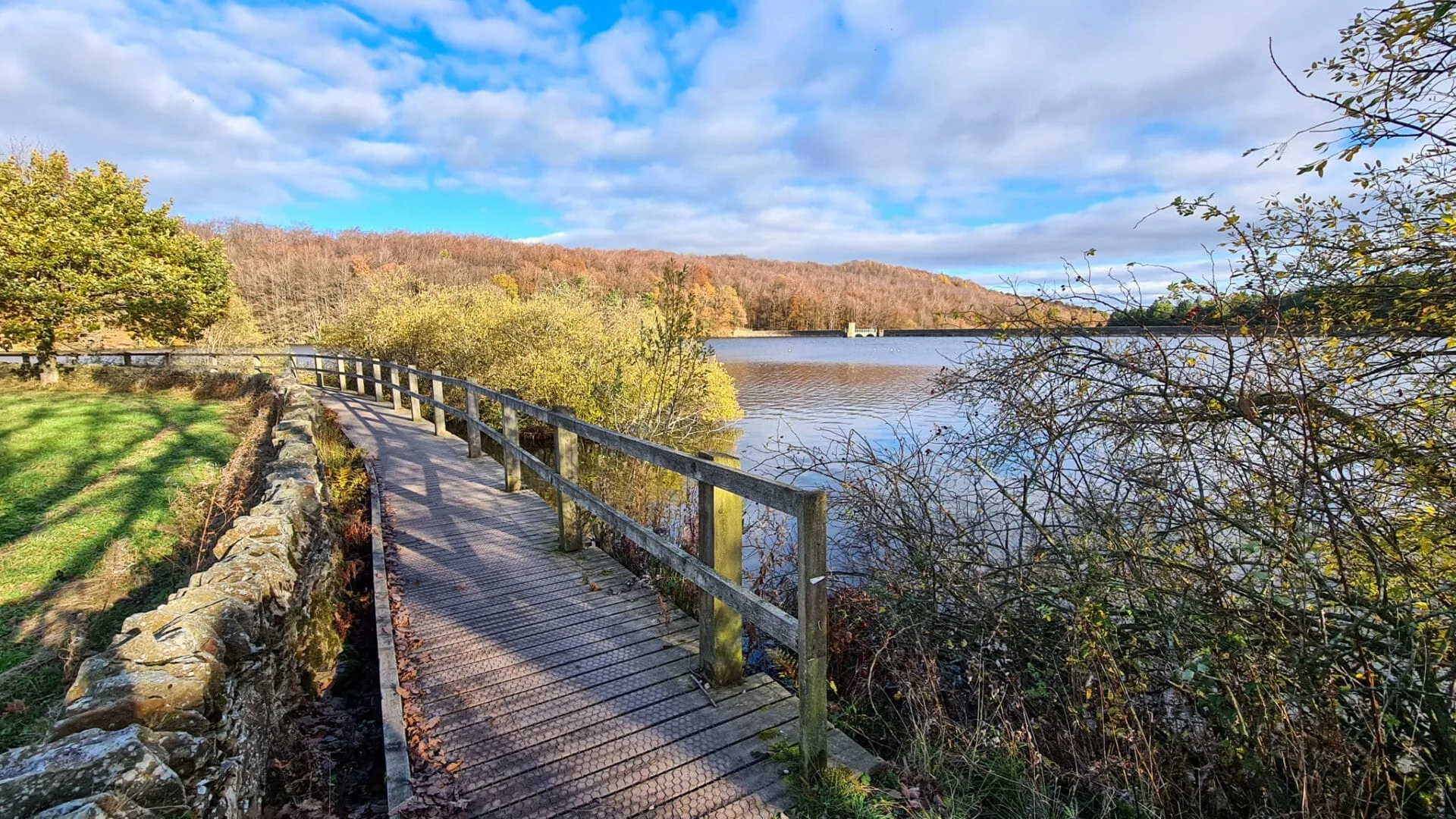 Calm Upper Linacre Reservoir surrounded by woodland trees