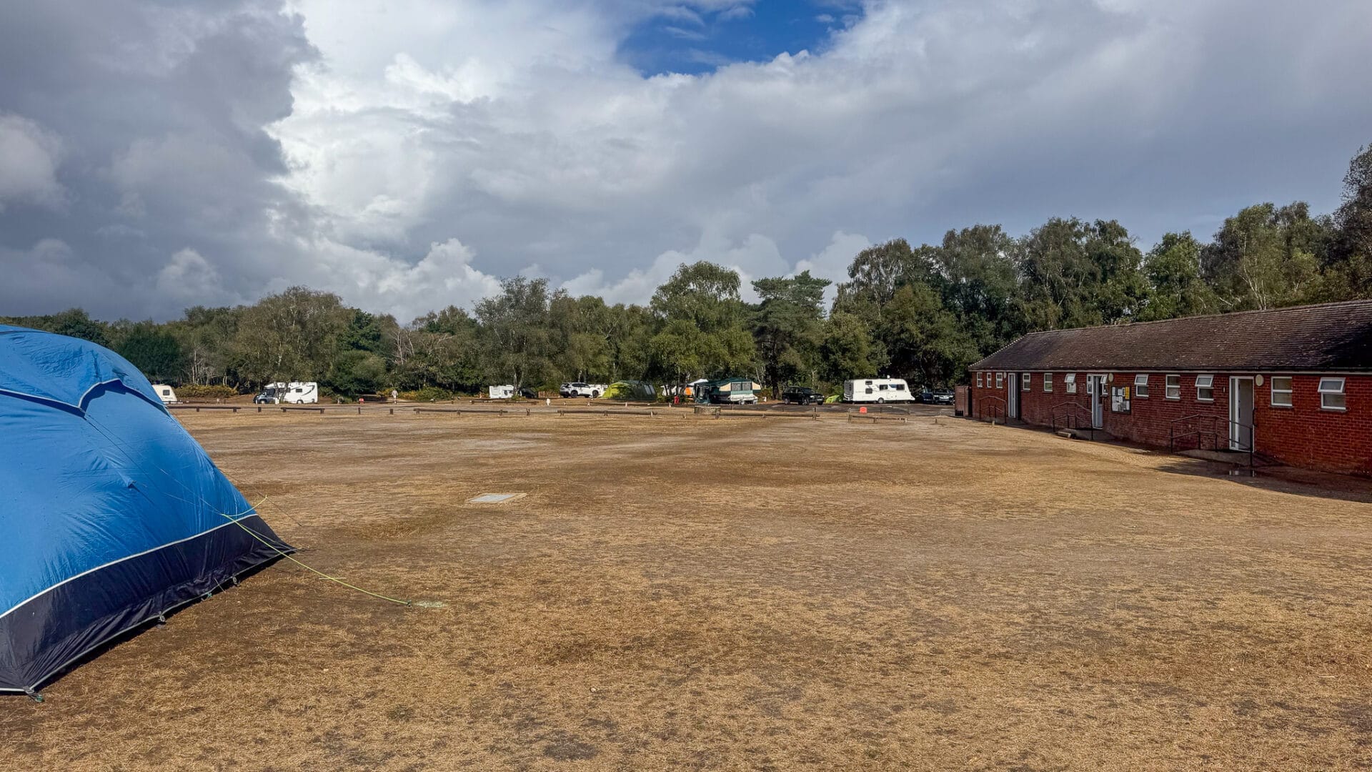 Home 5 Holmsley Campsite